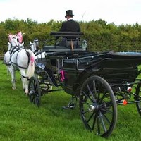 Horse drawn Carriage Hire   Disley 1084509 Image 9